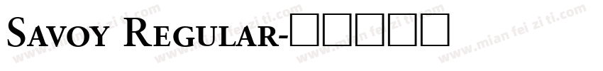 Savoy Regular字体转换